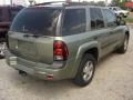 Silver Green Metallic - TrailBlazer LS 4x4 Photo No. 4