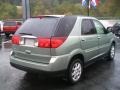 2006 Sagemist Metallic Buick Rendezvous CX  photo #5