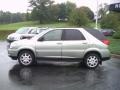 2006 Sagemist Metallic Buick Rendezvous CX  photo #8