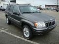 2002 Graphite Metallic Jeep Grand Cherokee Limited 4x4  photo #4