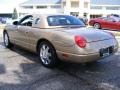 2005 Bronze Metallic Ford Thunderbird Premium Roadster  photo #3