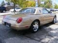 2005 Bronze Metallic Ford Thunderbird Premium Roadster  photo #5