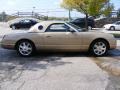 2005 Bronze Metallic Ford Thunderbird Premium Roadster  photo #6