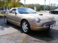 2005 Bronze Metallic Ford Thunderbird Premium Roadster  photo #7