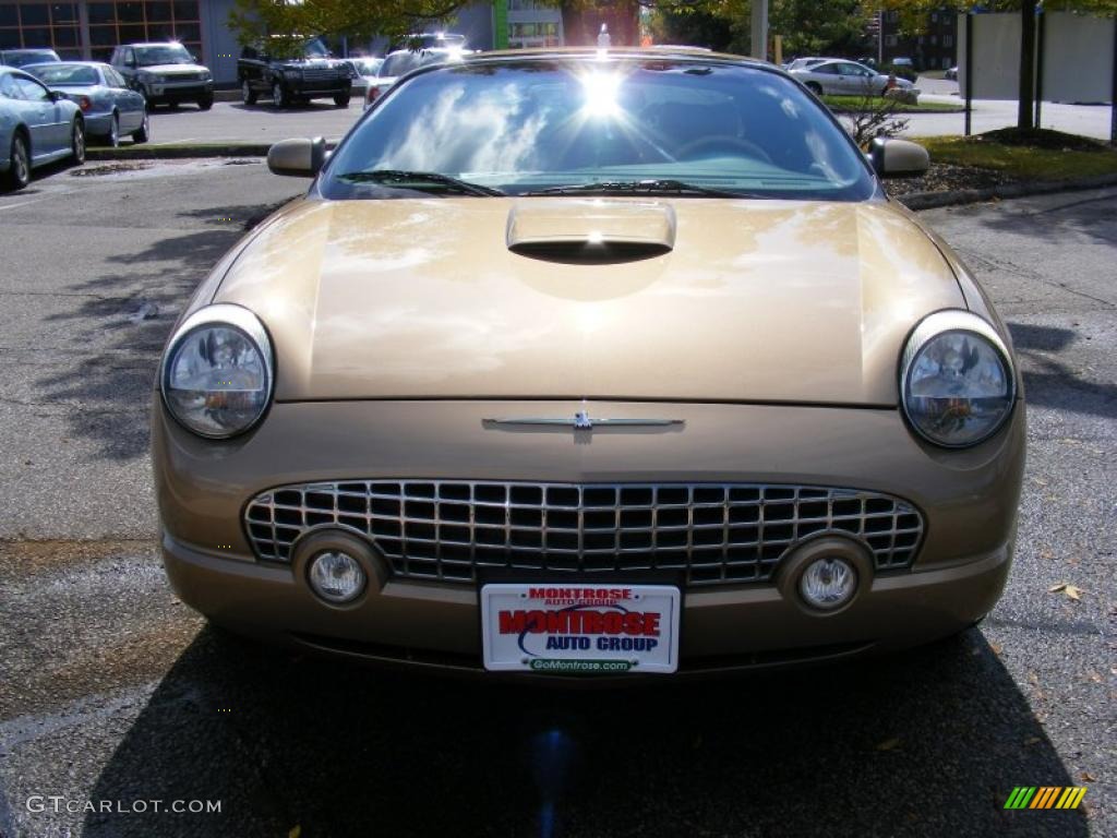 2005 Thunderbird Premium Roadster - Bronze Metallic / Black Ink/Light Sand photo #8