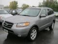Steel Gray 2007 Hyundai Santa Fe SE