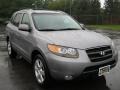 2007 Steel Gray Hyundai Santa Fe SE  photo #11