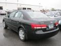 Ebony Black - Sonata GLS Photo No. 13