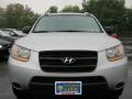 Bright Silver - Santa Fe GLS 4WD Photo No. 11