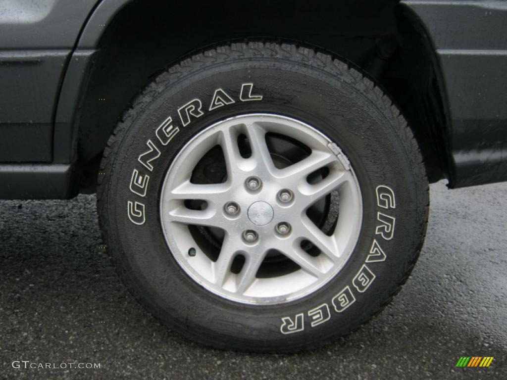 2004 Grand Cherokee Laredo 4x4 - Graphite Metallic / Dark Slate Gray photo #10