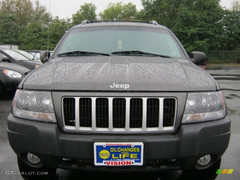 2004 Grand Cherokee Laredo 4x4 - Graphite Metallic / Dark Slate Gray photo #11