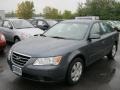 Willow Gray - Sonata GLS Photo No. 1