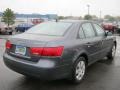 Willow Gray - Sonata GLS Photo No. 2