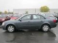 Willow Gray - Sonata GLS Photo No. 8