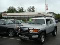 Titanium Metallic - FJ Cruiser 4WD Photo No. 1