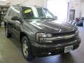 Graphite Metallic - TrailBlazer LS 4x4 Photo No. 19