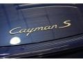 Cobalt Blue - Cayman S Photo No. 25