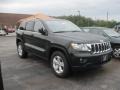2011 Natural Green Pearl Jeep Grand Cherokee Laredo X Package 4x4  photo #3