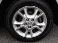 2006 Silver Shadow Pearl Toyota Sienna Limited AWD  photo #10