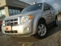 Silver Metallic - Escape XLT V6 Photo No. 1