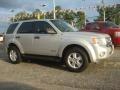 Silver Metallic - Escape XLT V6 Photo No. 7