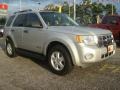 Silver Metallic - Escape XLT V6 Photo No. 8