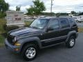 2005 Dark Khaki Pearl Jeep Liberty Sport 4x4  photo #1