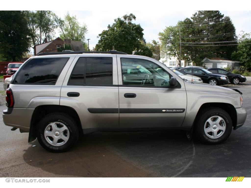 2003 TrailBlazer LS 4x4 - Light Pewter Metallic / Medium Pewter photo #13