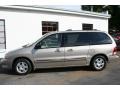 Light Parchment Gold Metallic - Windstar SE Photo No. 8