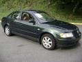 Royal Green Pearl - Passat GLS V6 Sedan Photo No. 3