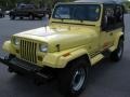 1990 Malibu Yellow Jeep Wrangler Islander 4x4  photo #2