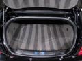 Porpoise Trunk Photo for 2009 Bentley Continental GT #37430394