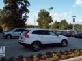 Ice White - XC60 T6 AWD Photo No. 9