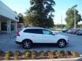 Ice White - XC60 T6 AWD Photo No. 10
