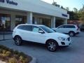 Ice White - XC60 T6 AWD Photo No. 11