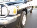 Black - Dakota SLT Quad Cab 4x4 Photo No. 15