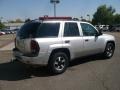 Silverstone Metallic - TrailBlazer LS 4x4 Photo No. 4