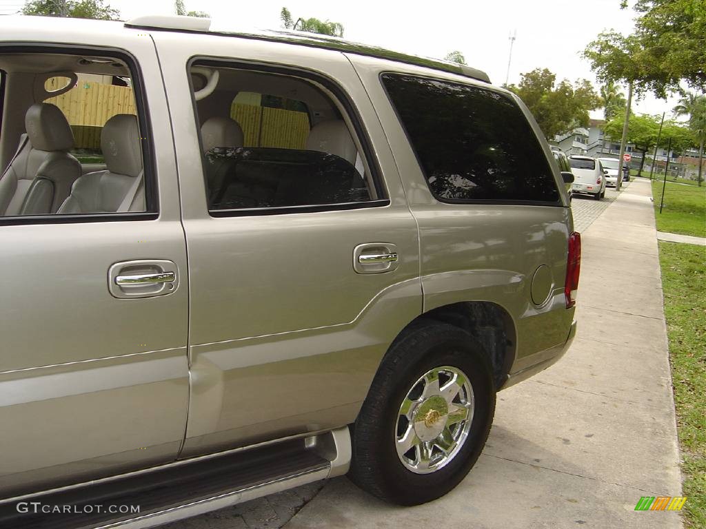 2002 Escalade  - Silver Sand / Shale photo #2