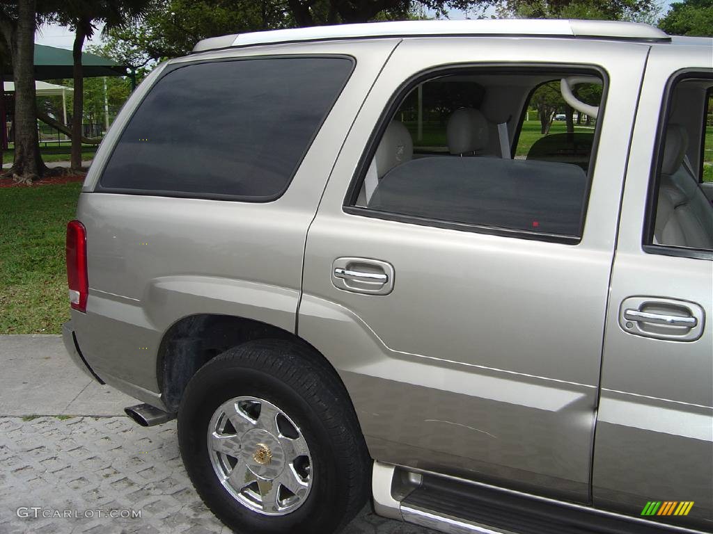 2002 Escalade  - Silver Sand / Shale photo #4