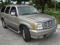 Silver Sand - Escalade  Photo No. 5