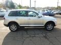 Reflex Silver Metallic - Touareg 2 VR6 Photo No. 5