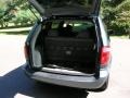 Magnesium Green Pearl - Caravan SXT Photo No. 8