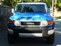 Voodoo Blue - FJ Cruiser 4WD Photo No. 13