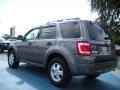 2009 Sterling Grey Metallic Ford Escape XLT V6  photo #3