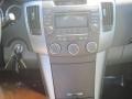 Bright Silver - Sonata GLS V6 Photo No. 14