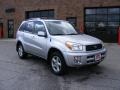 Titanium Metallic - RAV4 4WD Photo No. 1