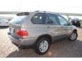 Kalahari Beige Metallic - X5 3.0i Photo No. 5
