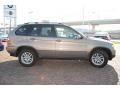 Kalahari Beige Metallic - X5 3.0i Photo No. 6