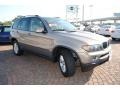 Kalahari Beige Metallic - X5 3.0i Photo No. 7