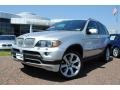 Titanium Silver Metallic - X5 4.8is Photo No. 1